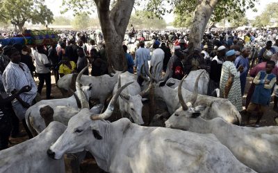 It’s an insult to invite us for roundtable meeting with Miyetti herders - Southern, Middle Belt leaders/newsheadline247.com