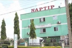 newsheadline247.com/NAPTIP opens register for all sex offenders in Nigeria
