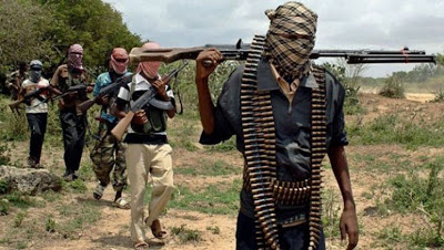 Boko Haram/newsheadline247.com