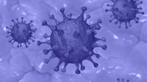 COVID-19 pandemic - newsheadline247.com