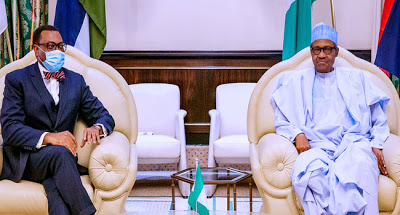 AFDB President Adesina meets Buhari in Abuja - newsheadline247.com