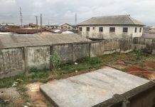 Woman allegedly vowed to set up gas plant in Ojokoro residential area despite cries from community - newsheadline247.com