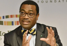 Nigerians provide electricity, road, security, water for themselves despite paying high taxes -Adesina - newsheadline247.com