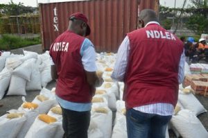 NDLEA: Bags of Compressed Illicit Drugs uncovered in Rivers’ warehouse - newsheadline247.com