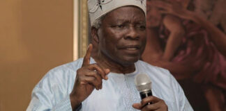 Osun, Ekiti Guber Polls: Akintoye, Adeniran, Orire, 15 other Yoruba Nation self-determination activists drag INEC, AGF to Osogbo, Ado-Ekiti Courts