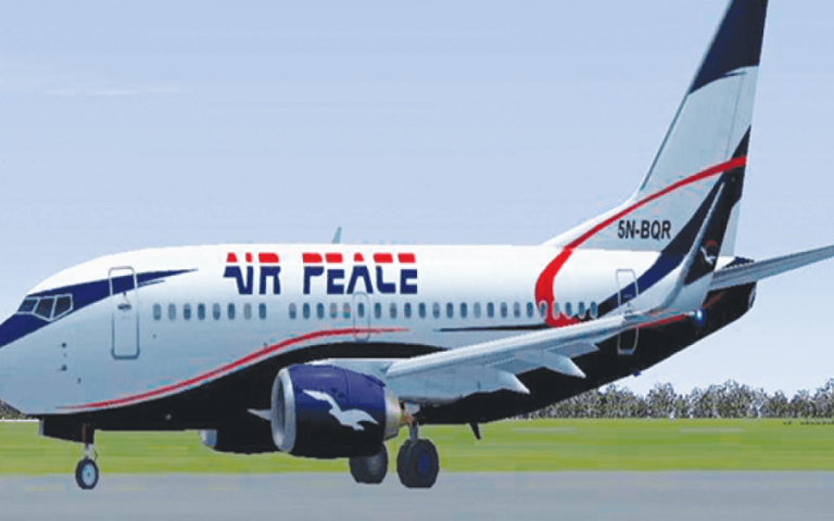 Just In: Air Peace flight forced to make emergency landing after bird strike
