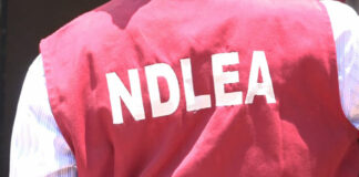 NDLEA arrests Dubai-bound human trafficker, orphan with drugs