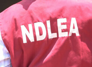 NDLEA Intercepts Opioids Worth Over N1.1 Billion Naira in Rivers