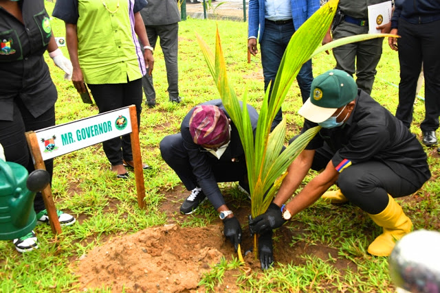 ‘Greener Lagos’ - Governor Sanwo-Olu plants Tree in Ajah, urges residents’ collective action - newsheadline247.com