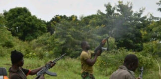 120 Bandit Gangs Operate With 60,000 AK47 Rifles In 6 Northern States – REPORT