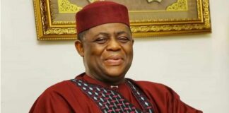 Femi Fani-Kayode: The Spy Who Fooled Us By Dr Bolaji O. Akinyemi