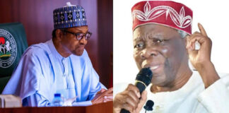 Akintoye accuses Nigerian Govt of hiring foreigners to stage anti-self determination protest in US