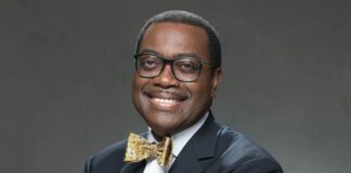 2023 Presidency: Youth Group drums support for AfDB President Akinwumi Adesina