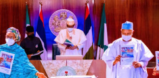 Nigeria needs N348trn for realistic 5-year National Development Plan – Buhari