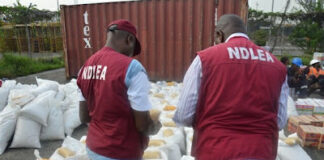 Over 1.5 million Tramadol tablets intercepted in Kebbi, Kano – NDLEA