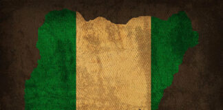 2023: NIGERIA IS A SELLOUT! (FEDERAL REPUBLIC OF NIGERIA PLC) By Fidelis Obi