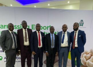 Fidelity Bank Sensitizes Customers on Emerging Opportunities in non-Oil Exports and CBN RT200 FX Policy