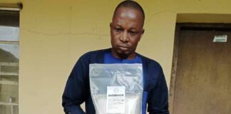 NDLEA intercepts 1.9million Tramadol tablets, Codeine at Lagos airport