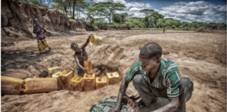 CANON’s ‘Moments That Matter’ Expo: Saudi’s Abbas Alkhamis wins grand prize as Nigeria’s Jimoh Gabriel picks economic category award CANON’s ‘Moments That Matter’ Expo: Saudi’s Abbas Alkhamis wins grand prize as Nigeria’s Jimoh Gabriel picks economic category award