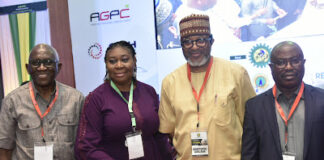 Dangote Refinery to Expose Nigeria’s Downstream, Midstream Sectors to Int’l Markets