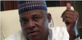 APC VP: Shettima tipped to be Tinubu’s running mate – Sources