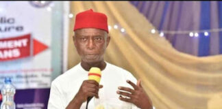 Obi will do well as economy minister under PDP, Labour party lacks structure to win presidency – Ned Nwoko