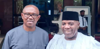 2023: I am Peter Obi’s running mate – Doyin Okupe