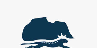 Afrifin Fintech Summit 2022: Building An Africa-Canada Fintech Ecosystem That Fosters Inclusive Development