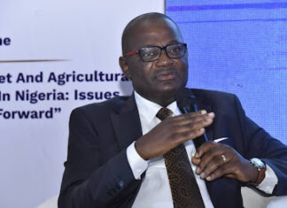 Gboyega Isiaka Advocates Caution in Reintroduction of Capital Gain Tax to Boost Capital Market Securities