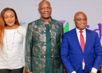 Fidelity Partners SMEDAN to Empower SME