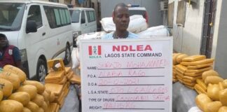 Drug lord bags seven-year-imprisonment as NDLEA seizes N1b worth of tramadol