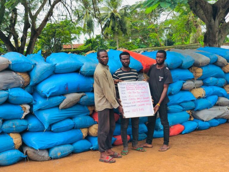 NDLEA arrests 4 wanted notorious kingpins over 16 tons illicit drugs in Lagos, Abuja