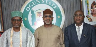 Ogun set to host N3b refinery in Tongeji Island