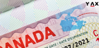 Migration: Nigerians, Others To Benefit As Canada Unveils Plan To Welcome 1.4m Migrants By 2025