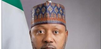 Uncovered! How Environment Minister May Have Cost Nigeria $10bn Funding To Implement Its Energy Transition Plan