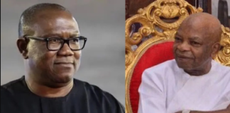 2023: Arthur Eze, LP lock horns over Peter Obi’s ambition