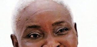 Ogun PDP Governorship Candidate, Ladi Adebutu Loses Mother