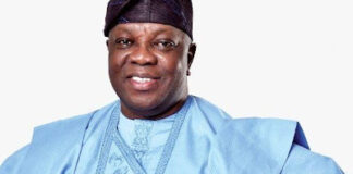 Ogun: LP Supreme Court move may shatter ADC candidate, Biyi Otegbeye’s guber dream