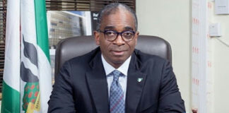 Buhari gives Olusegun Awolowo new appointment