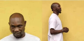 Seun Kuti and impunity of stardom, by Ebun-Olu Adegboruwa