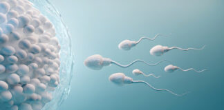 Infertility: Research shows men are responsible for 60 per cent of causes – Expert