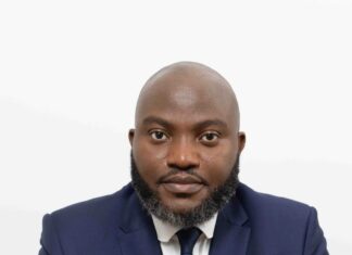 Transforming Fintech, Agriculture in Africa – The Magic Wands of Dozy Mmobuosi