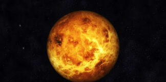 New discovery on Venus points towards signs of life