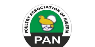 25m jobs at stake – Poultry Association cries out over imminent collapse of industry