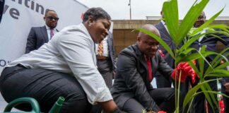 UBA Foundation Walks the Talk on Sustainability, Pioneers Commitment to Environment, Africa’s Green Revolution