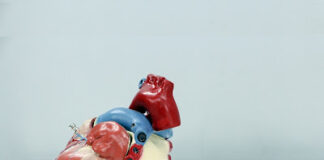 New clinical study shows clear benefits of Probi’s probiotics for Metabolic Health