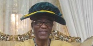 Gbenga Daniel bags IOB fellowship