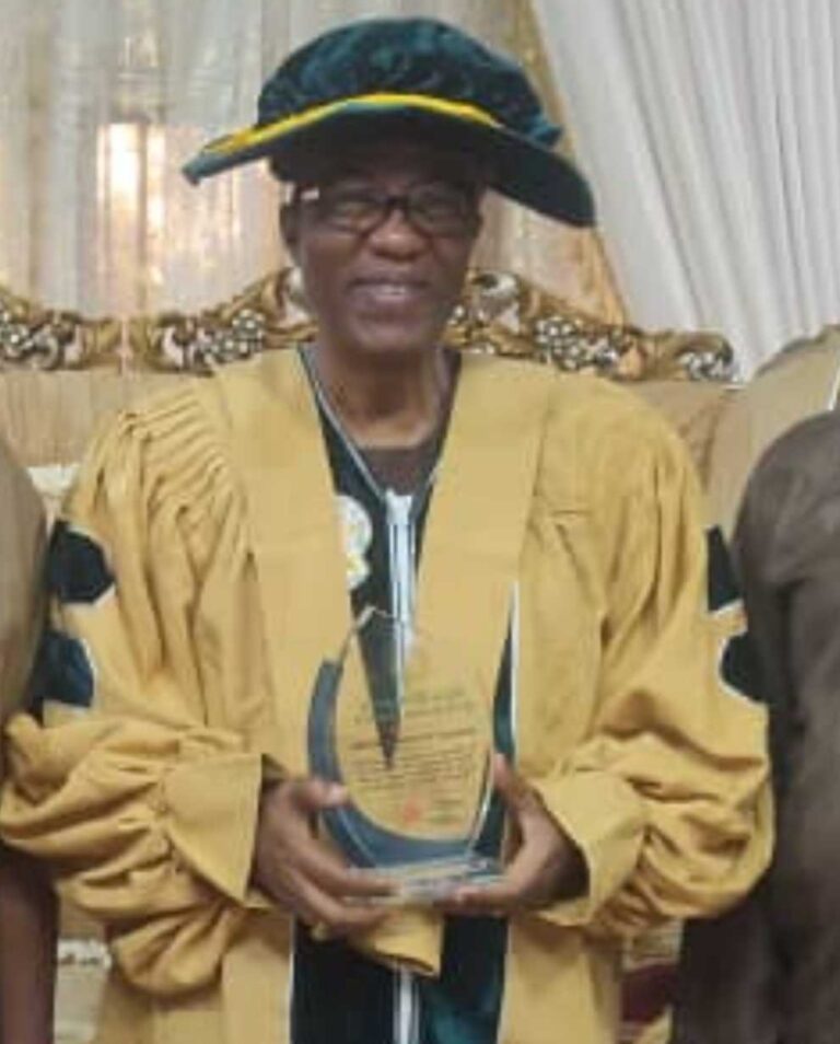 Gbenga Daniel bags IOB fellowship