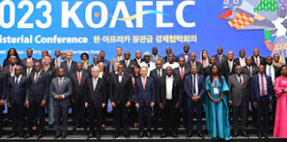 Korea and Africa rally additional finance and technology for universal energy access and to make Africa world’s breadbasket