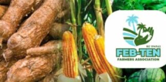 Farmer’s Body, FEBTEN, Launches Subsidised Agric Investment Scheme